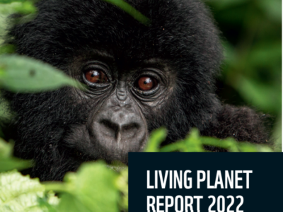 Living planet report 2022