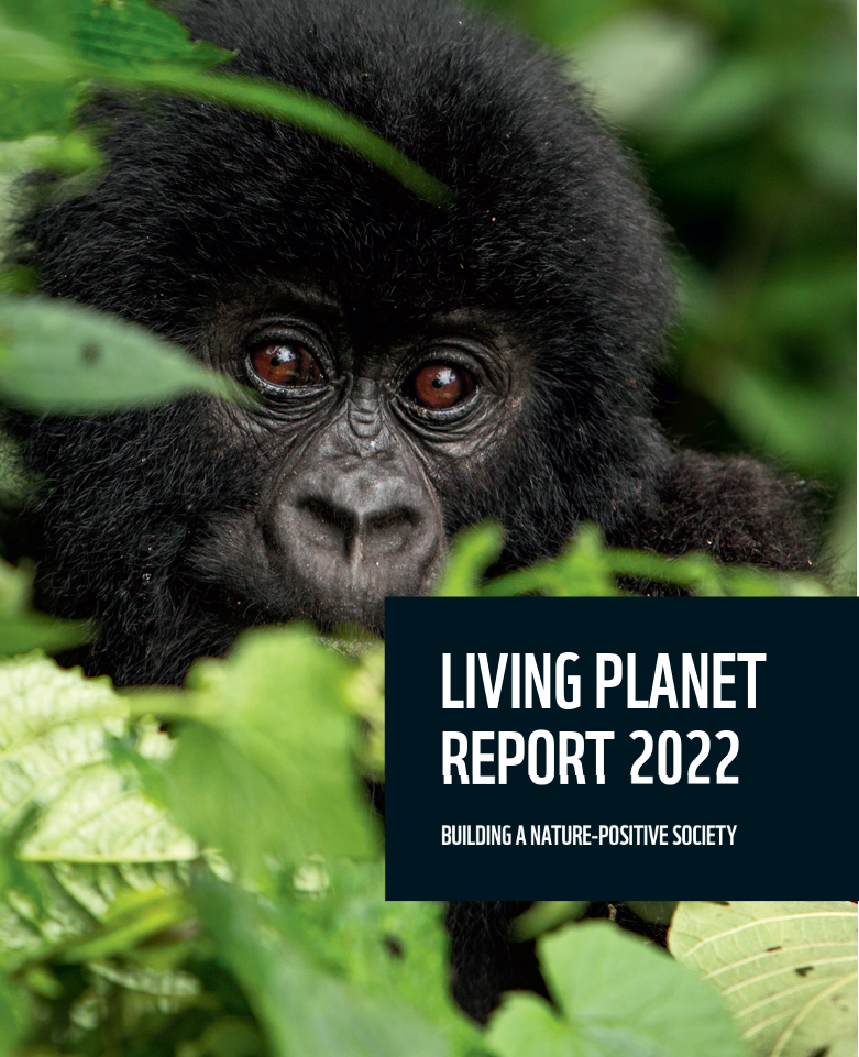 Living planet report 2022