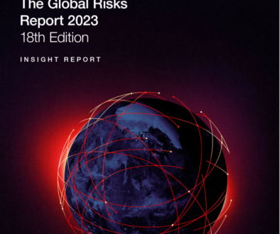 global risk report