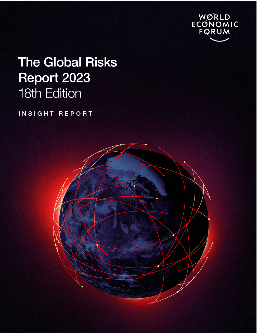 global risk report global risk report