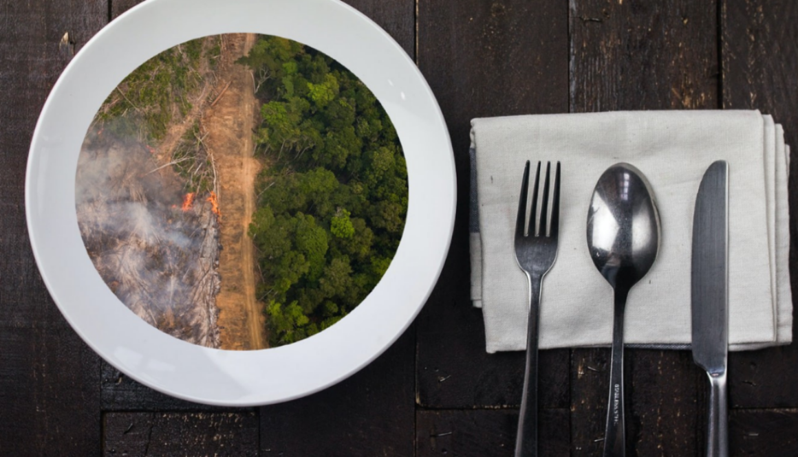 Deforestation field plate #T4F (1)