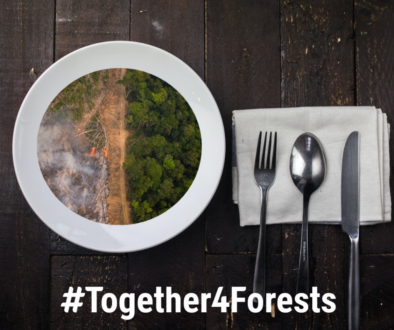 Deforestation field plate #T4F (1)