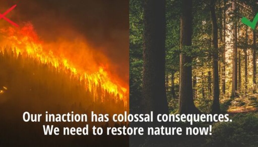 The cost of inaction