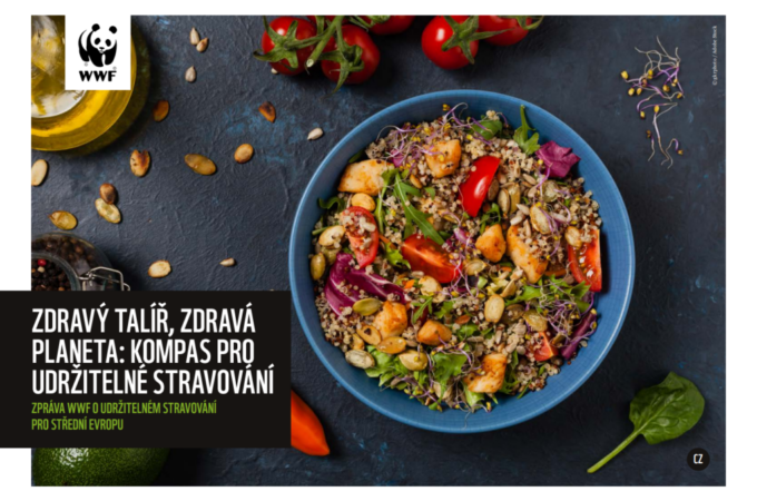 plate of change-cz