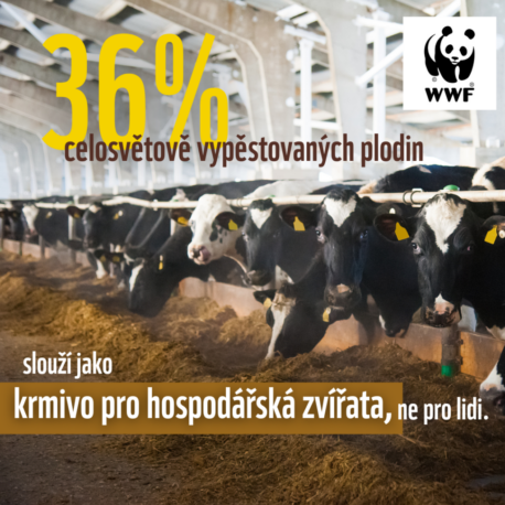 Obecně platí, že sortiment potravin, které používáme, je velmi úzký. Celých 75 % světových zásob potravin zahrnuje pouze dvanáct druhů plodin a pět druhů zvířat.[2] EU jdou téměř dvě třetiny roční spotřeby obilovin na krmení hospodářských zvířat.[3]Česká populace konzumuje v průměru trojnásobek doporučeného maximálního množství soli. Přibližně polovina populace uvádí, že nekonzumuje ani jednu porci ovoce nebo zeleniny denně. Je alarmující, že přibližně polovina všech úmrtí v regionu je způsobena rizikovými faktory chování, z nichž nejvýznamnější je strava. Při zlepšení zdravotního stavu české populace by se 65letí Češi mohli v budoucnu cítit a užívat si stejně kvalitního života jako dnešní 55letí.